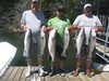 (07/30/2017) - Nice Striped Bass
